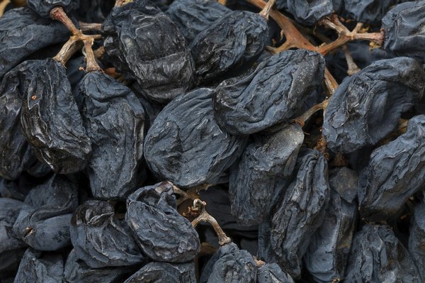 Comment expérimenter une journée de vendanges en Toscane en participant activement ?